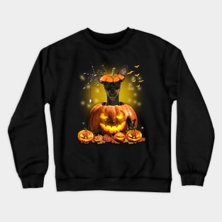 Miniature Pinscher Spooky Halloween Pumpkin Dog Head Crewneck Sweatshirt